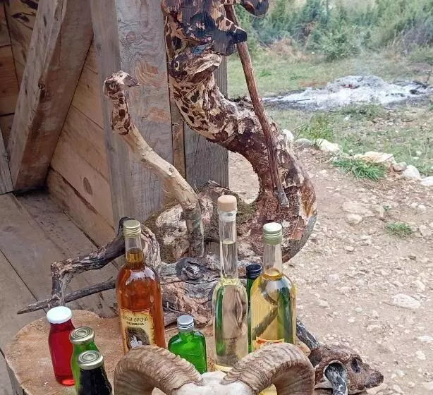 تختخواب و صبحانه Household Ušćumlić   Oaza Mira