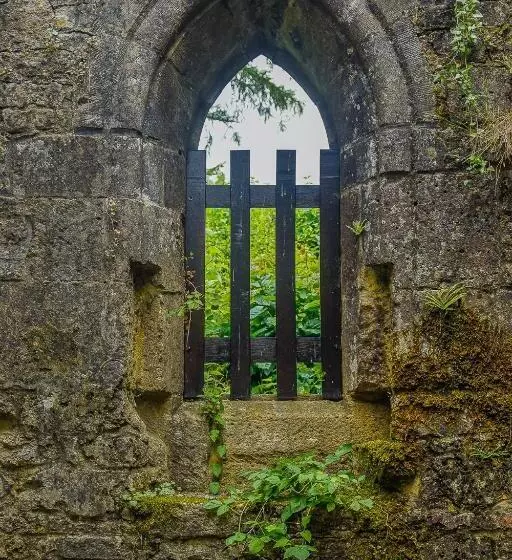 ベッドアンドブレックファースト Orval16