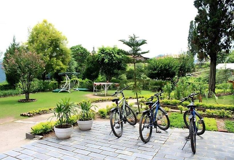 Hotel Embrace Himalayan Spa Resort