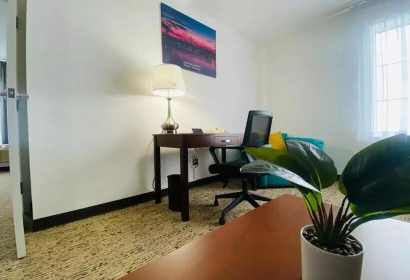 هتل La Quinta By Wyndham Reynosa