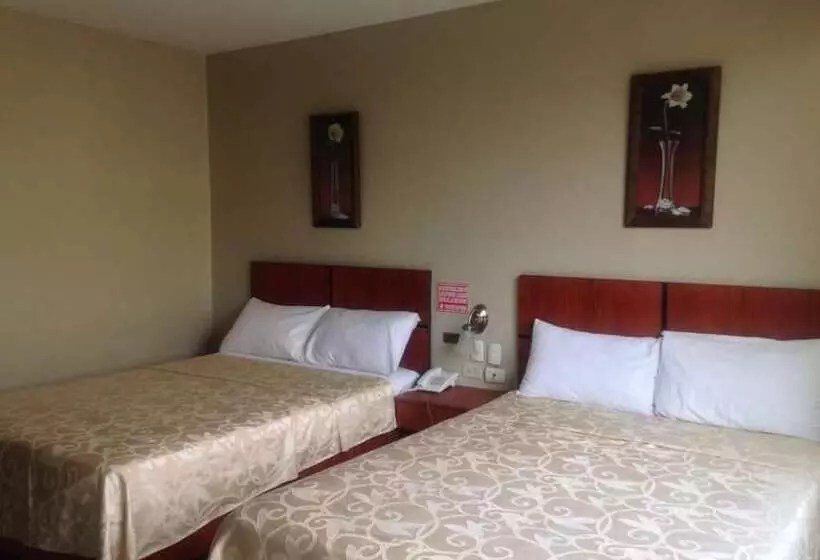 ホテル Tropical Inn