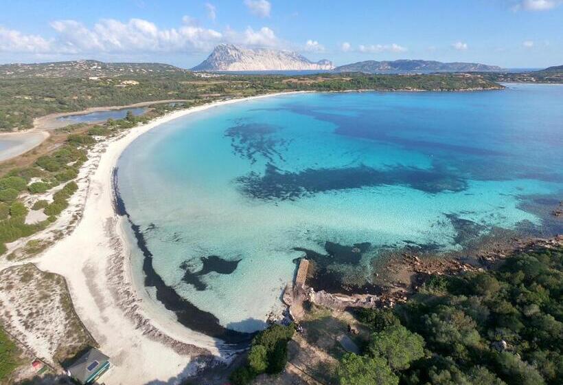 Iss Travel, Apartments In Via Torino   800 M From La Cinta Beach