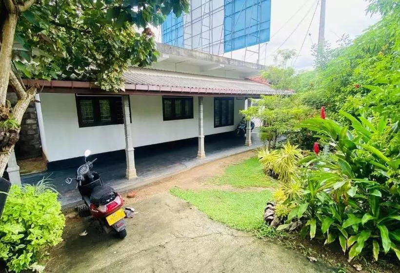 Majatalo Mellow Yellow