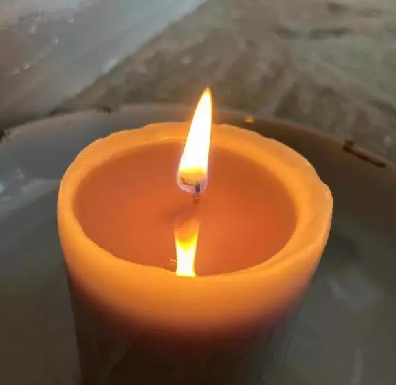 ペンション Serene Accommodation Palace