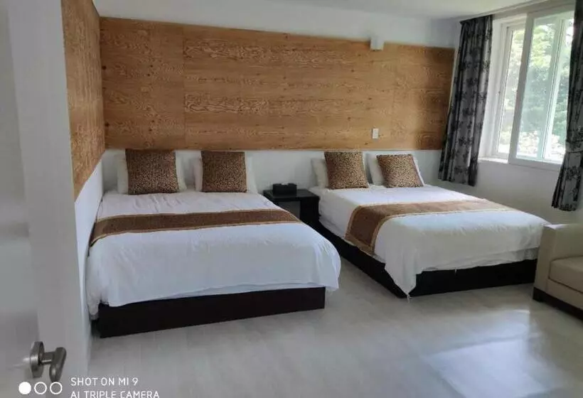Star House/星之家酒店