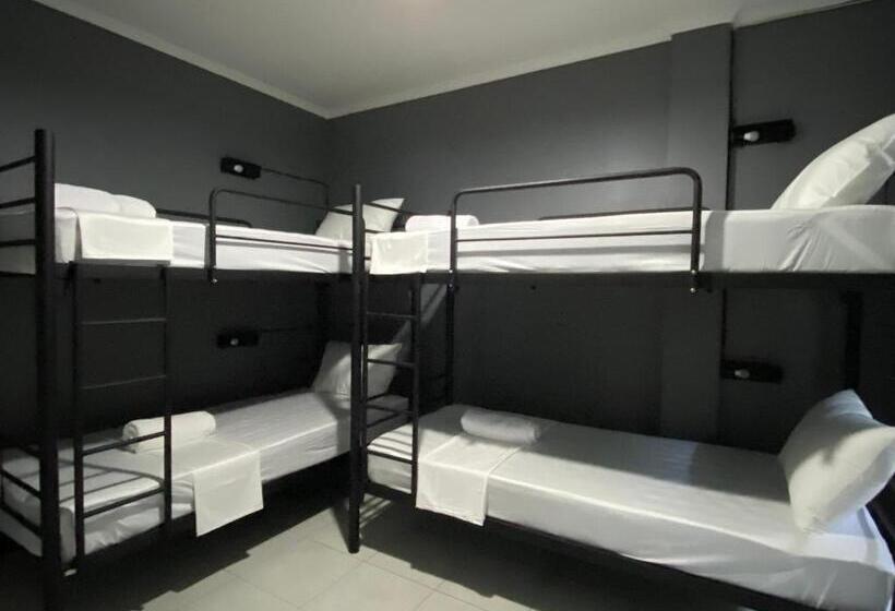 旅馆 Summer Of Surf