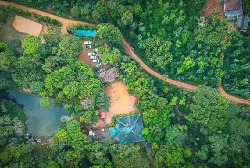 Wild Wagtail Resort