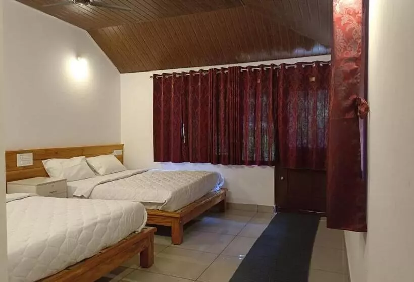Wild Wagtail Resort