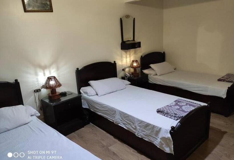 تختخواب و صبحانه Salvatore Rooms With Breakfast City Center