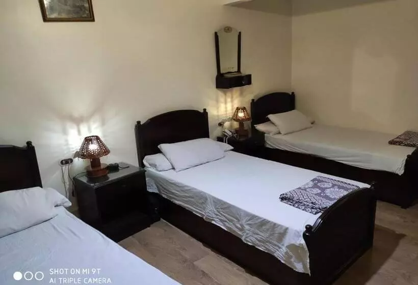 تختخواب و صبحانه Salvatore Rooms With Breakfast City Center