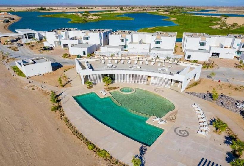 Costa Divina B6 By Kivoya