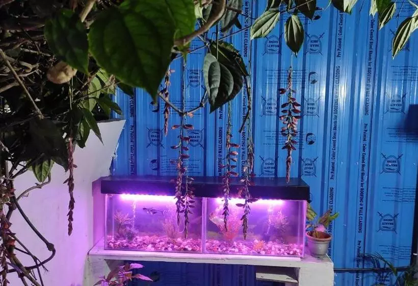 ホテル Adh Amilya Gerdens