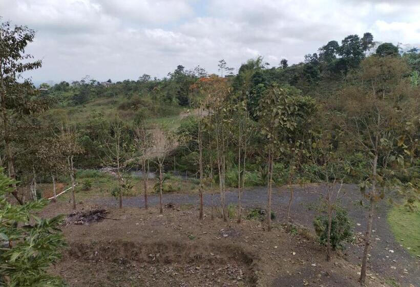 Capsulehotel Hostería Cabañas Del Pescador