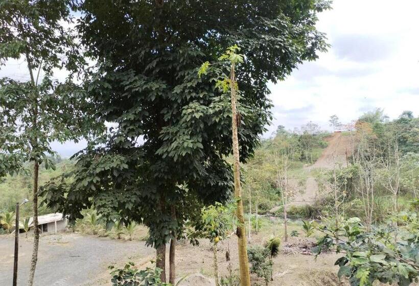 Capsulehotel Hostería Cabañas Del Pescador