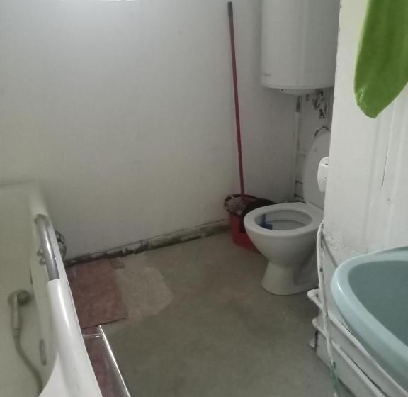 בית מלון כפרי Gheorghe Cornelia