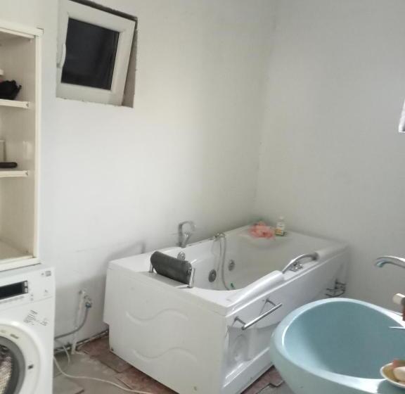 בית מלון כפרי Gheorghe Cornelia