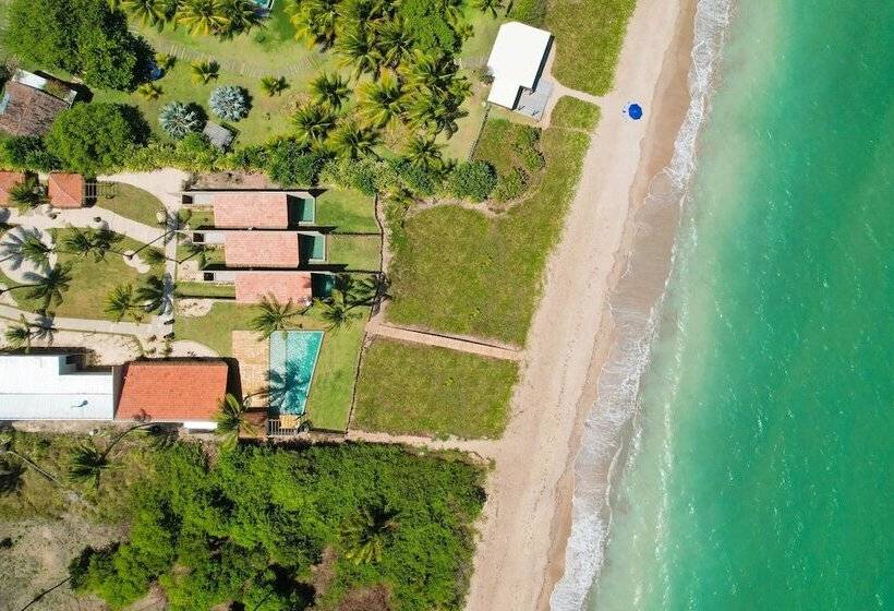 هتل Monan Boutique