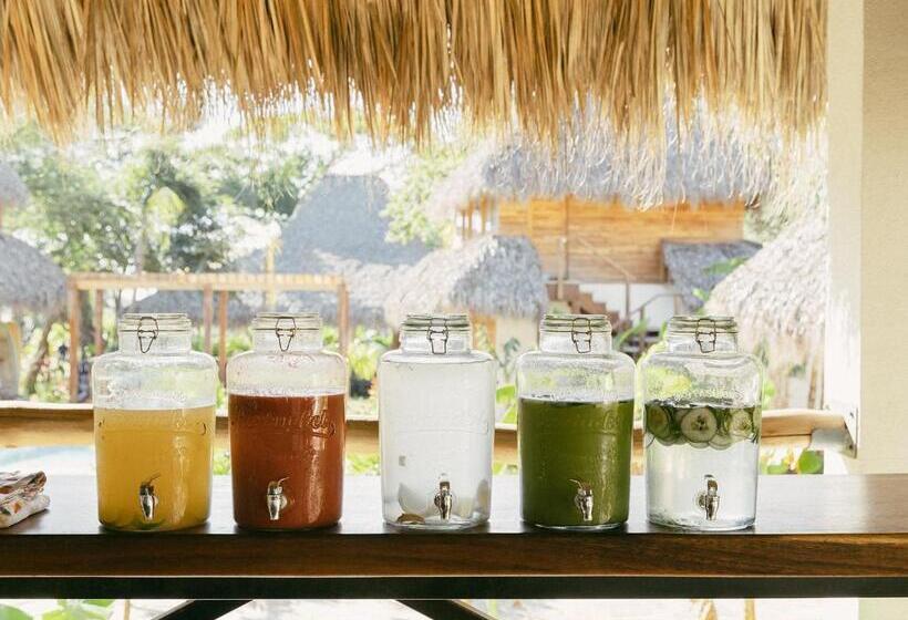 هتل Still Salty Escape