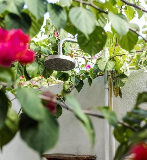 هتل Still Salty Escape