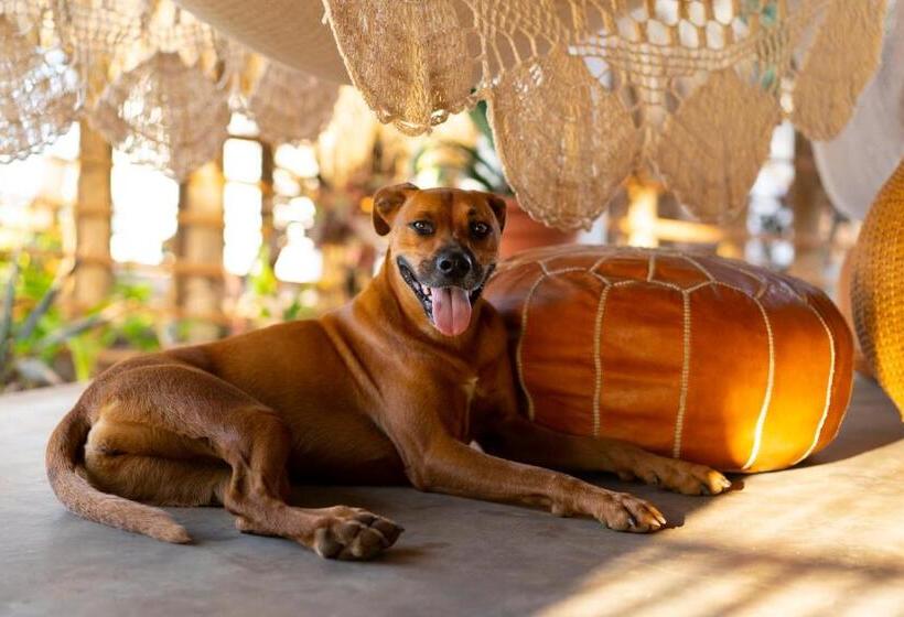 هتل Still Salty Escape