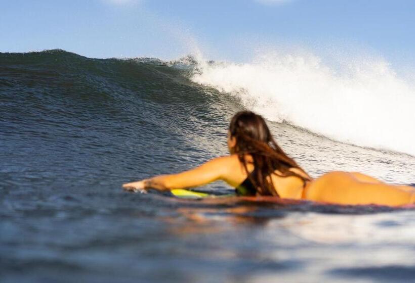 هتل Still Salty Escape