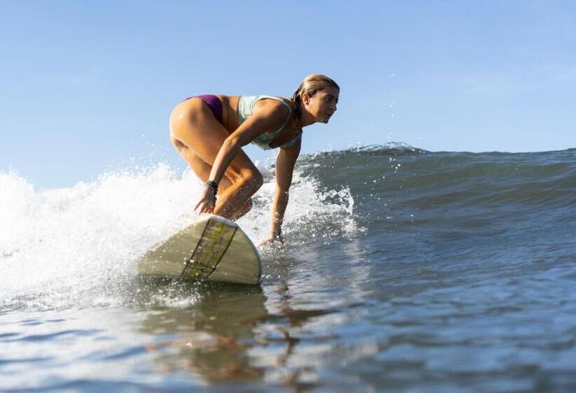 هتل Still Salty Escape