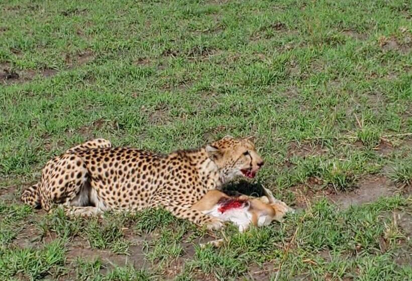 پانسیون Kanunka House