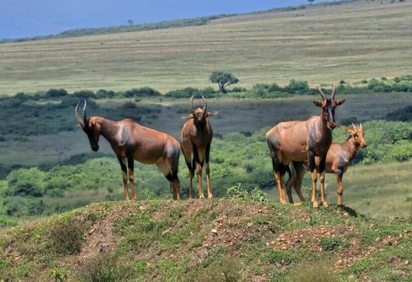 پانسیون Kanunka House