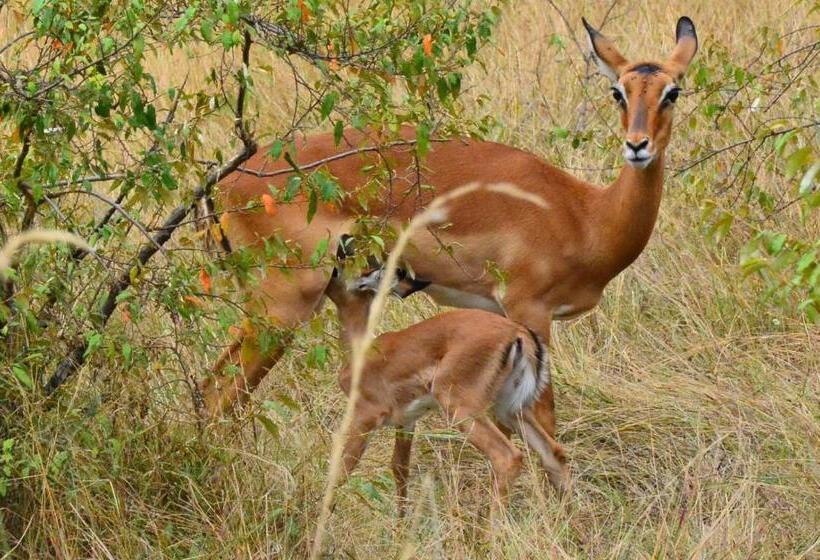 پانسیون Kanunka House
