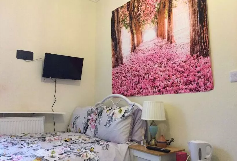 ペンション Tdm Bachelot Lettings Ltd