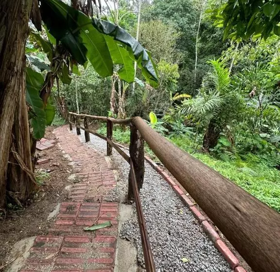 ペンション Vila Dos Pássaros,quarto 05