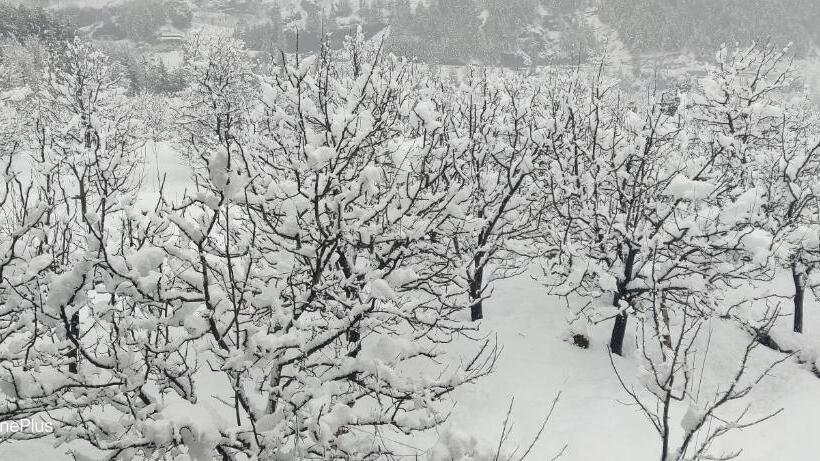 Albergue Burwa Breeze By Winsum Stays