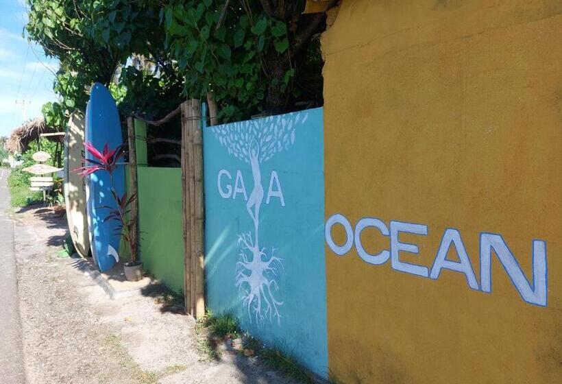 فندق صغير Gaia Ocean Surf Yoga