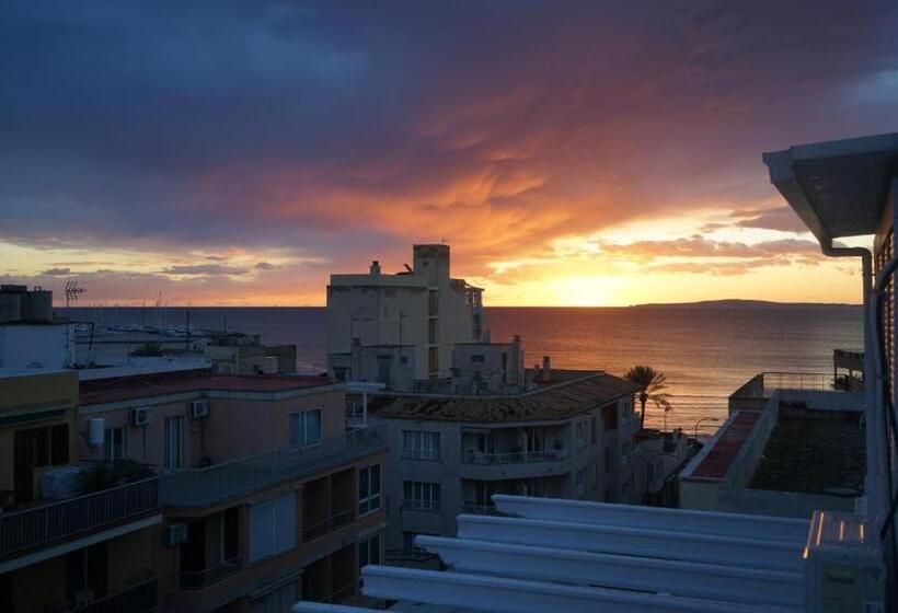 ホテル Level Mallorca Living