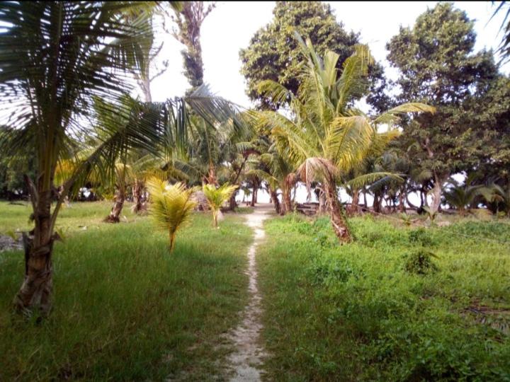 پانسیون Kalapani Resort