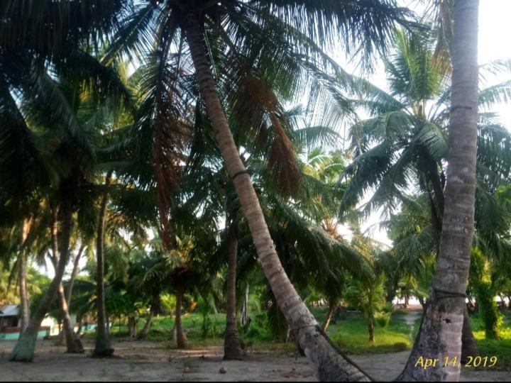 پانسیون Kalapani Resort