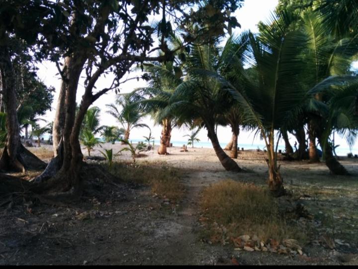 پانسیون Kalapani Resort