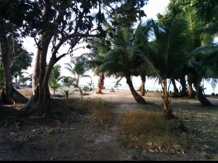 ペンション Kalapani Resort