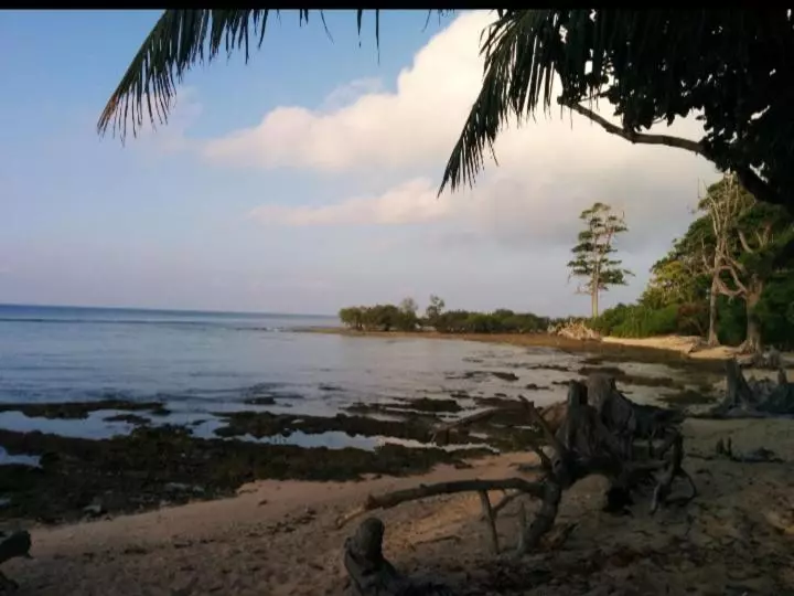ペンション Kalapani Resort