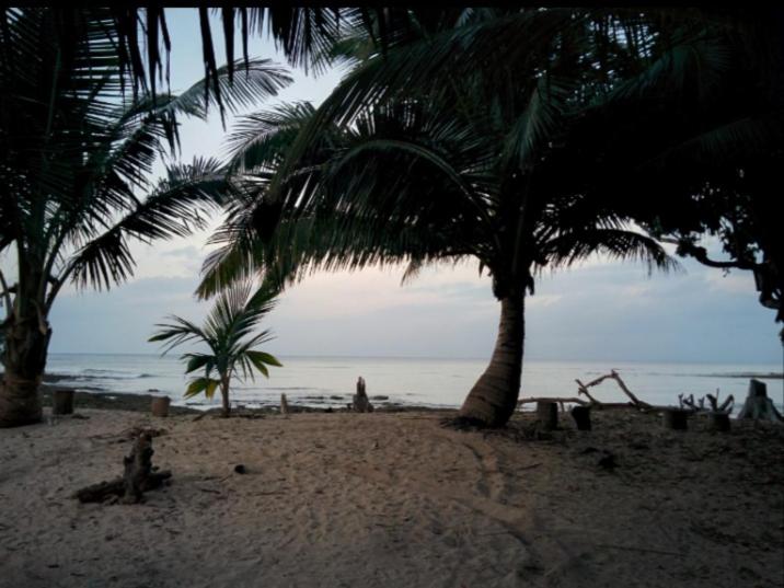 پانسیون Kalapani Resort