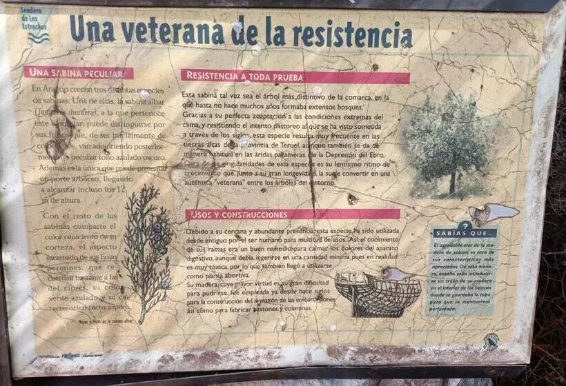 Apartamentos Rurales Fuente Del Peral