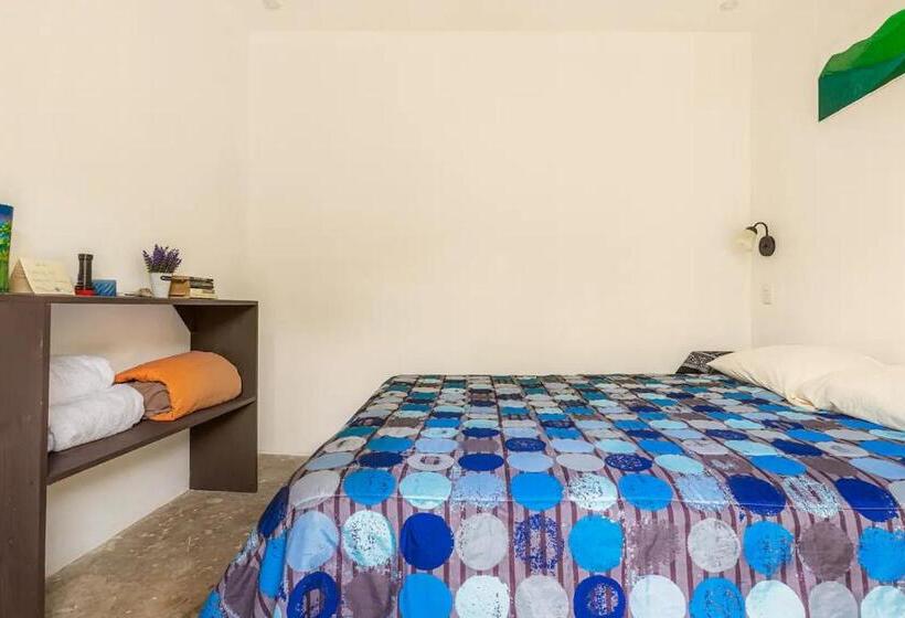 تختخواب و صبحانه Alojamiento En Orosi: Un Pedacito Del Caribe