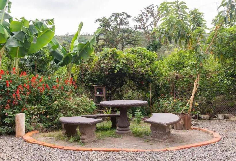 تختخواب و صبحانه Alojamiento En Orosi: Un Pedacito Del Caribe