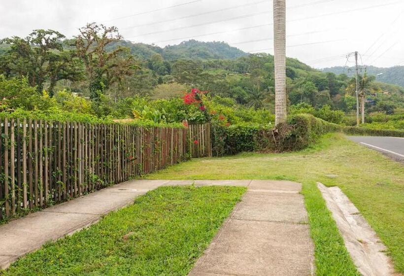 تختخواب و صبحانه Alojamiento En Orosi: Un Pedacito Del Caribe