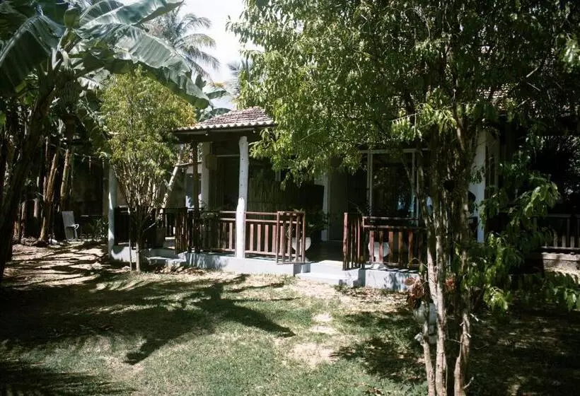 Aamiaismajoitus (B&B) Calma   Surf, Yoga & Coffee On A Private Beach