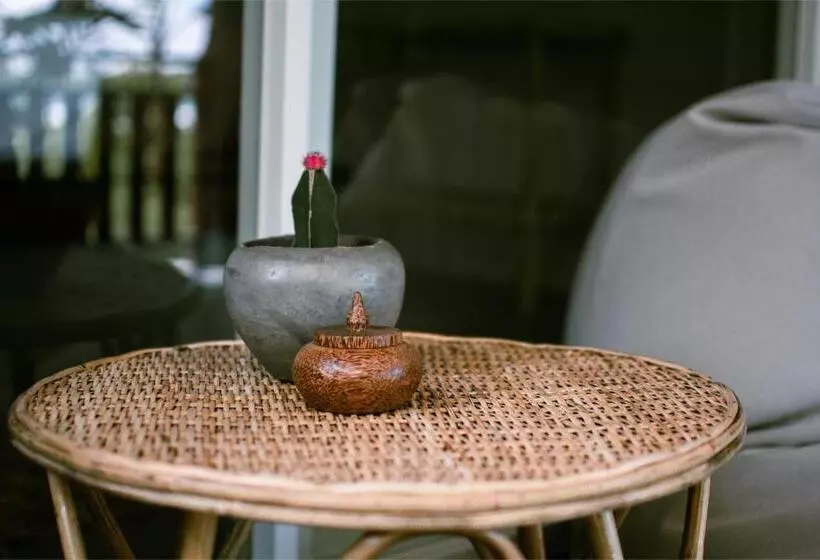 Aamiaismajoitus (B&B) Calma   Surf, Yoga & Coffee On A Private Beach