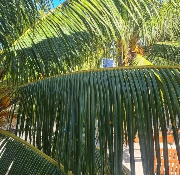Hotelli Casa Azul Cielo