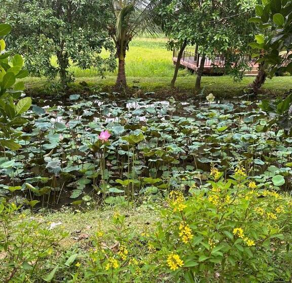 ホテル Lucky Star Resort