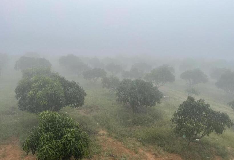 Hotel Mango Castle Eco Stay