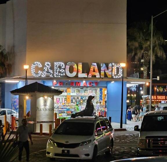 Elegant Condo In An Upscale Building